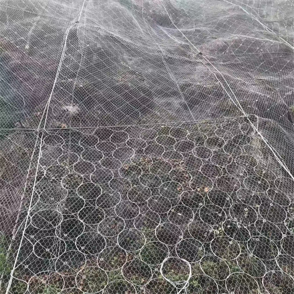 主动防护网