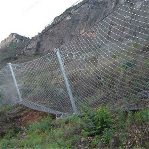 被动防护网