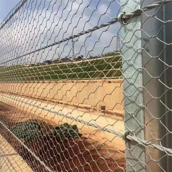 重型六角网