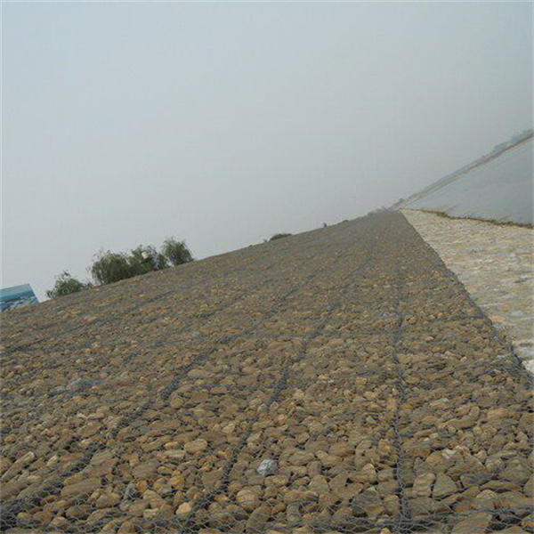 高尔凡雷诺护垫